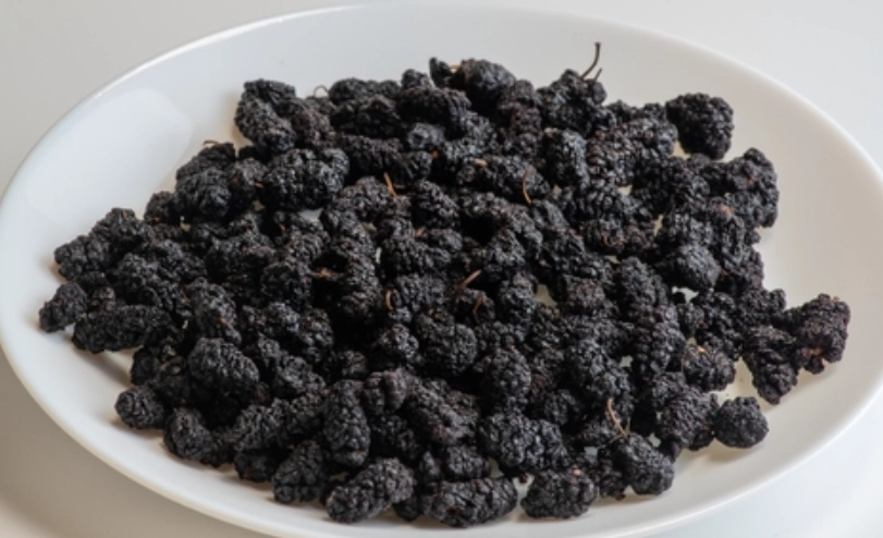 桑葚乾不能和什麼一起吃