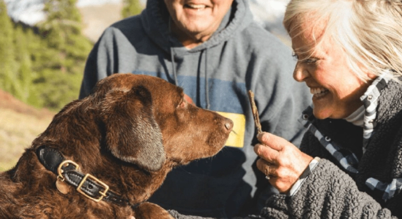 寵物離世心理調適