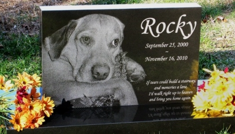 寵物過世燒金紙