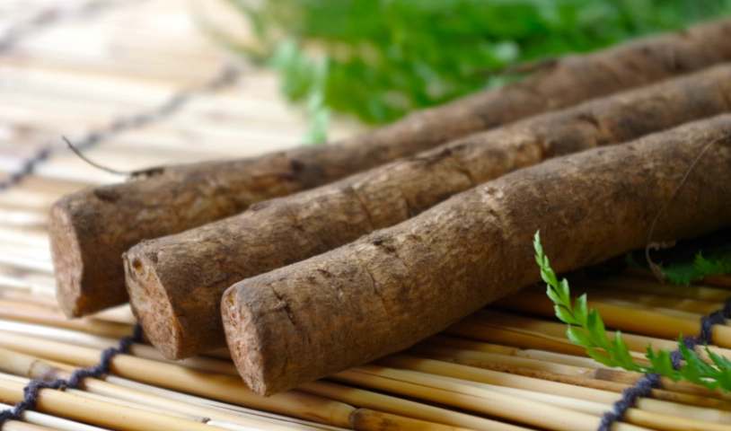 牛蒡料理全攻略：食譜、餐廳推薦與健康吃法