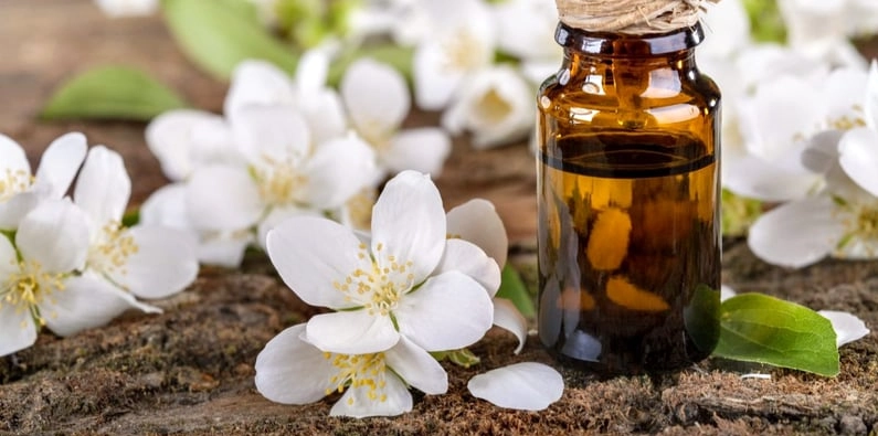 櫻花精油哪裡買