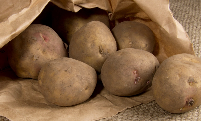 馬鈴薯皮怎麼洗？5個實用清洗技巧與常見錯誤解析