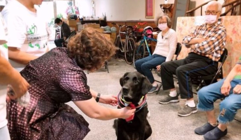 寵物善別輔導完整指南：陪伴家人走過哀傷的實用方法