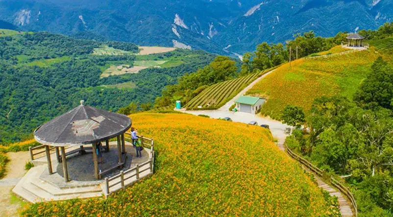 台東景點懶人包：山海縱谷全攻略，行程交通與必玩清單一次收藏