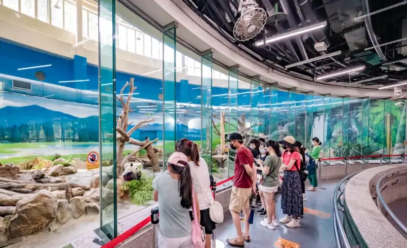 新北晚上帶小孩去哪