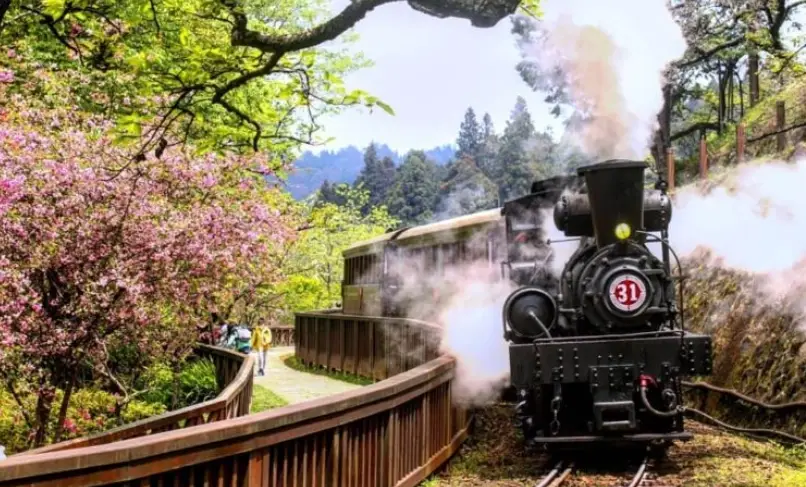 台灣森林遊樂區