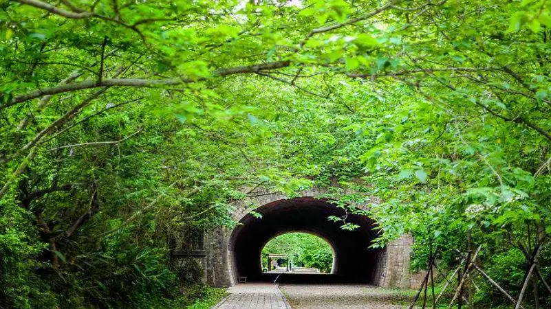 苗栗 海線 景點