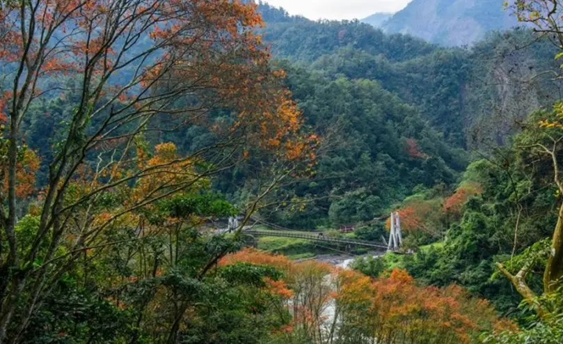 台灣森林遊樂區
