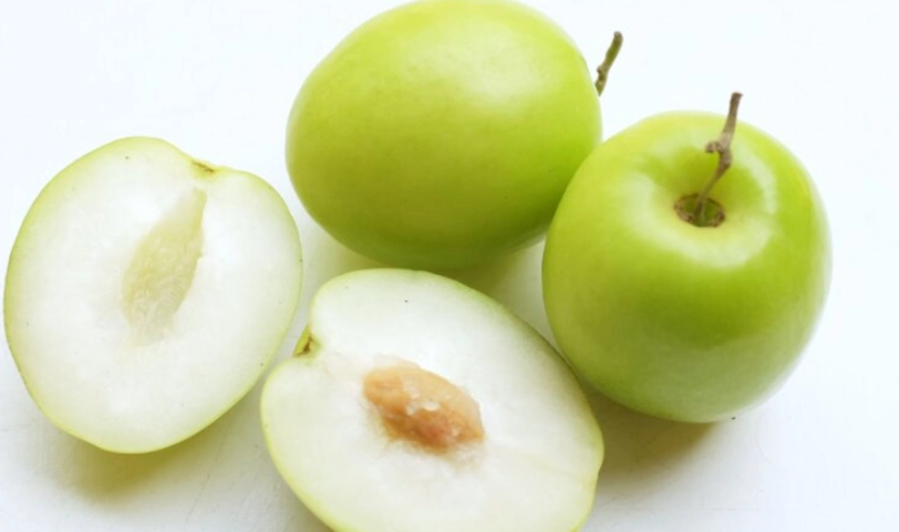 蜜棗屬性全解析：營養價值、挑選技巧與健康益處完整指南