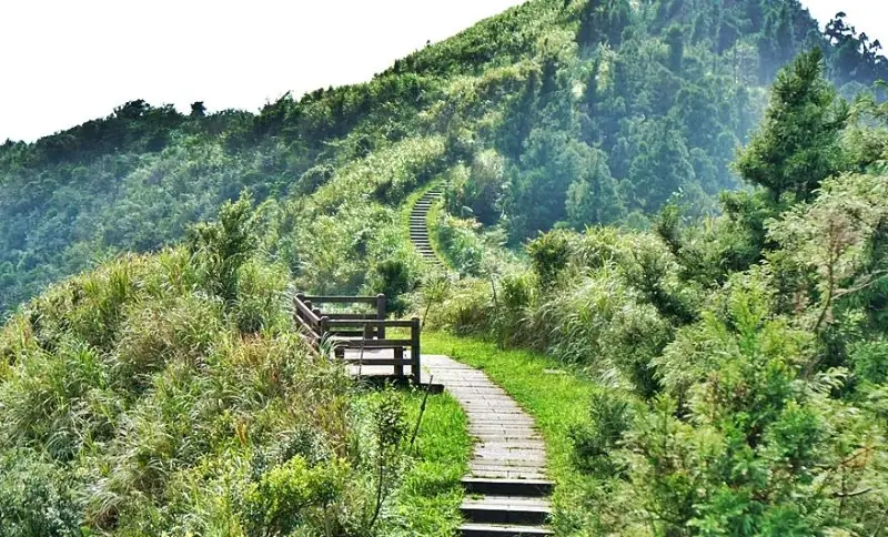 台北步道秘境全攻略：探索隱藏山林的療癒健行路線