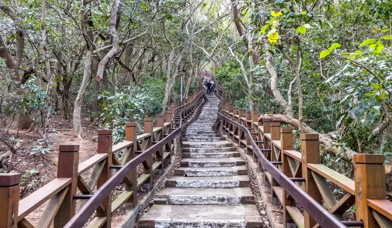 新竹高評分景點