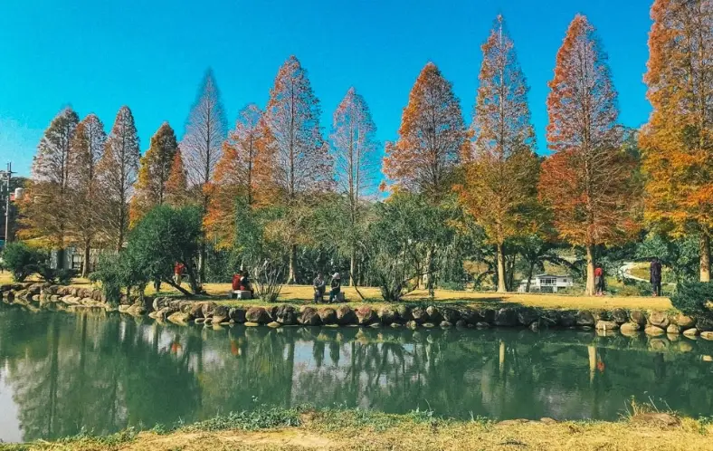 新竹一日遊評分最高景點全攻略 | 行程交通與實用資訊