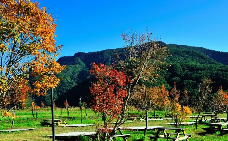 武陵國家公園 住宿