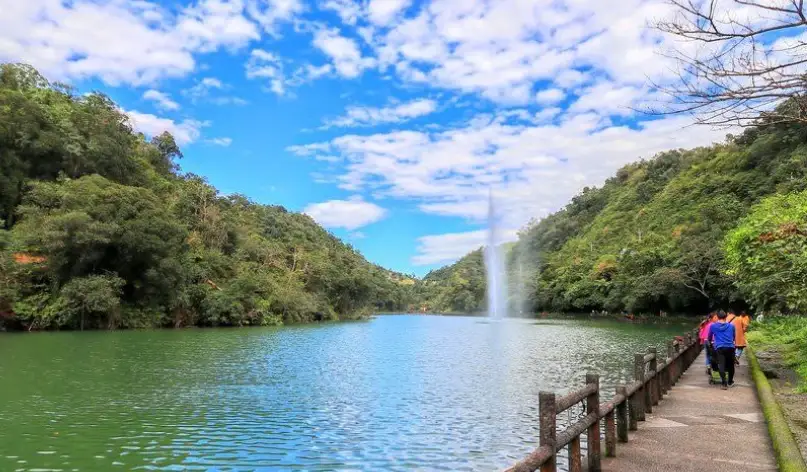 宜蘭三星景點全攻略：從蔥田到秘境，一次解鎖必去清單！