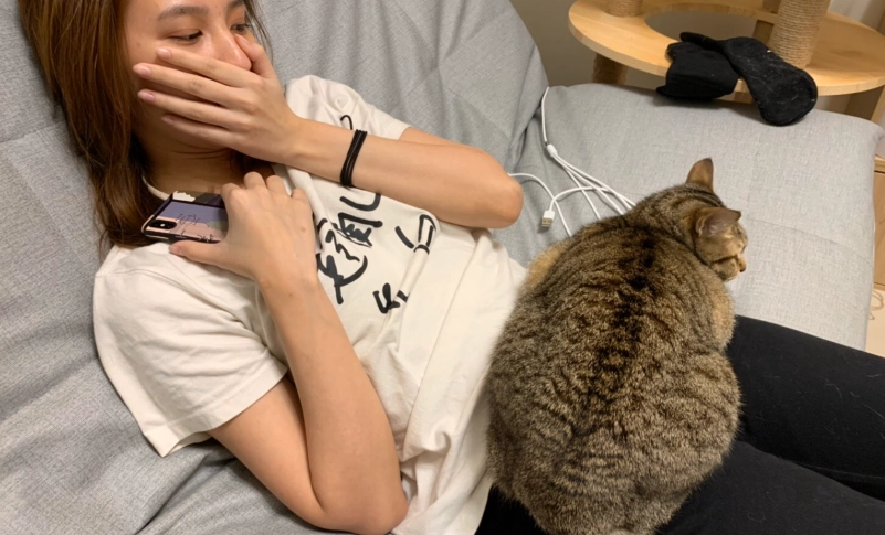 如何知道貓咪喜歡你