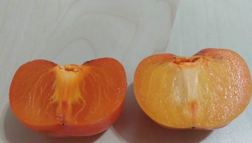 硬柿子變軟的5個實用技巧與常見錯誤避免，輕鬆催熟甜美柿子