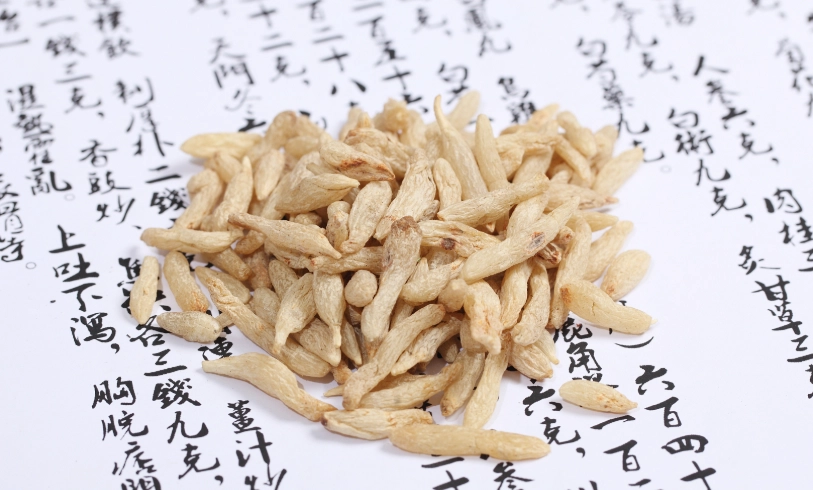 麥冬功效全解析：從中醫觀點到日常養生，一次搞懂怎麼用