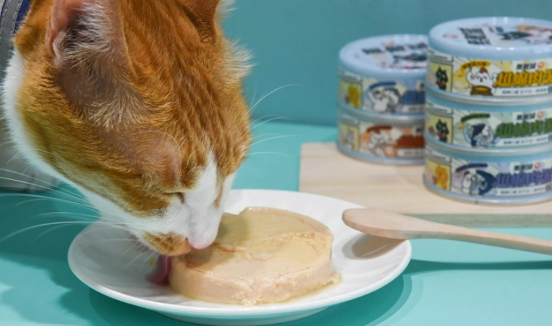 貓罐頭一天吃幾罐