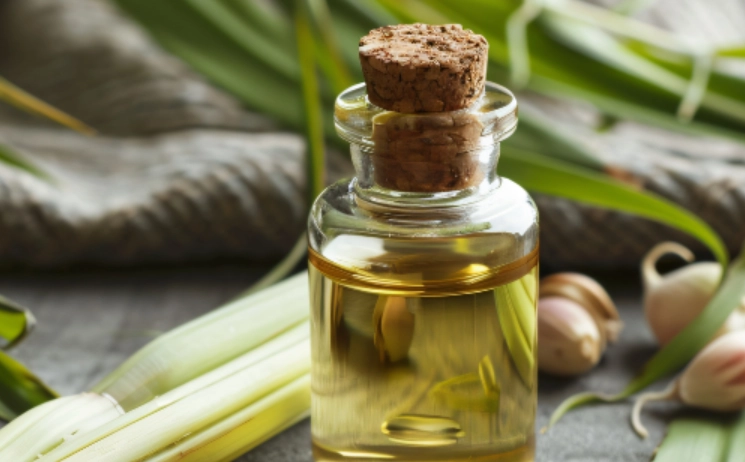 檸檬草精油驅蟲全攻略：天然防蚊液DIY與居家防蟲應用