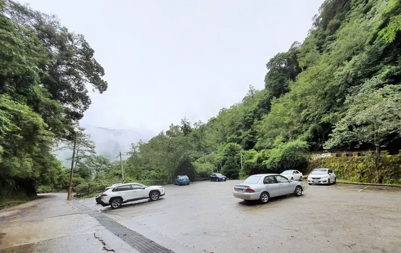 拉拉山神木群交通