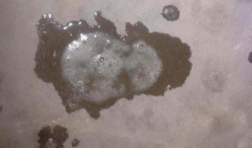 狗狗吐白色黏液