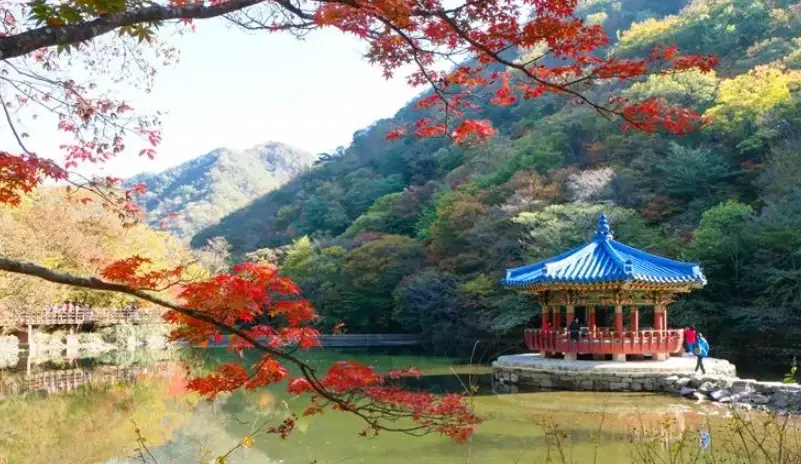 首爾近郊景點推薦：五大必訪一日遊行程與完整交通攻略