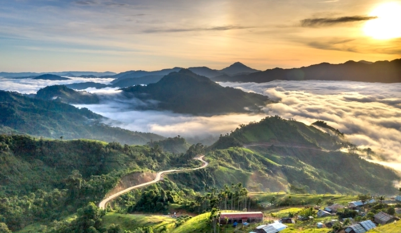 阿里山日出、合歡山星空、陽明山花海 | 台灣山上美景全攻略
