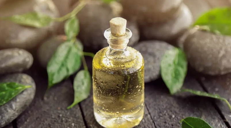 綠茶精油功效全解析：從抗氧到舒壓，專家教你正確使用與避坑指南