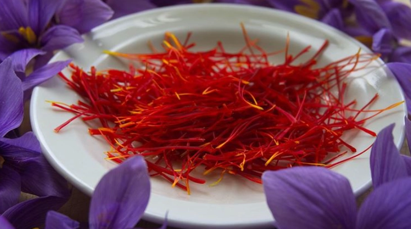 番紅花食用方法