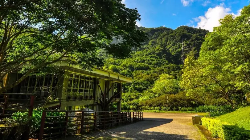 台東生態導覽全攻略：探索秘境、規劃行程、避開人潮的專家指南