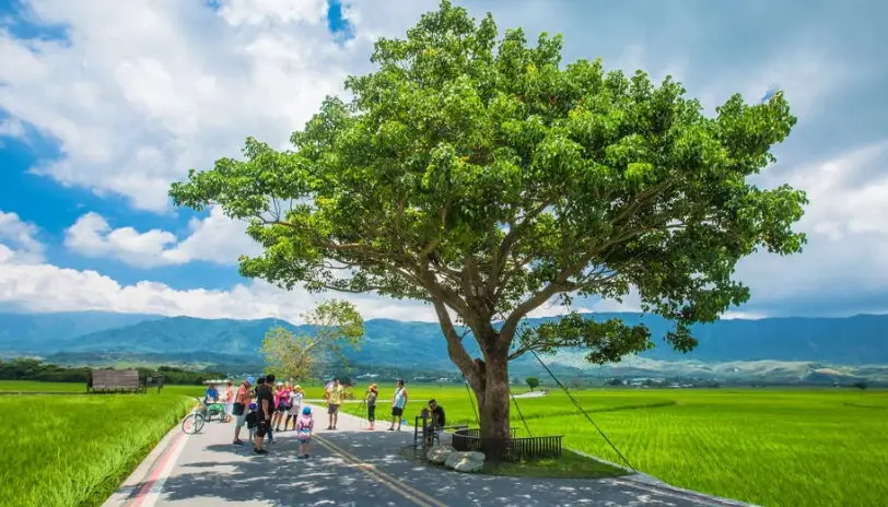知本森林遊樂區