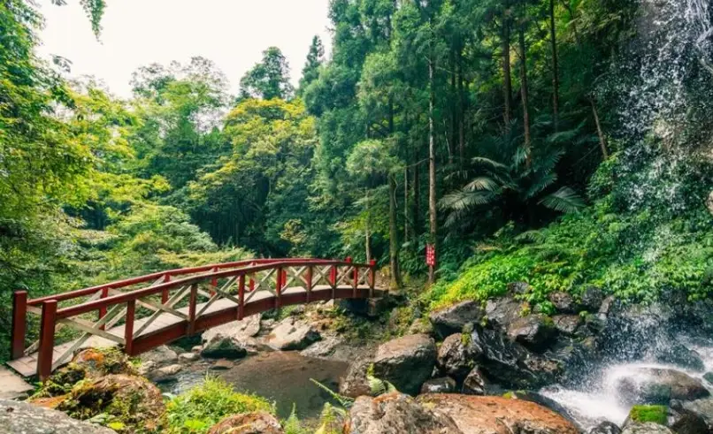北部適合老人步道推薦｜精選5條平緩好走景點，銀髮族踏青首選