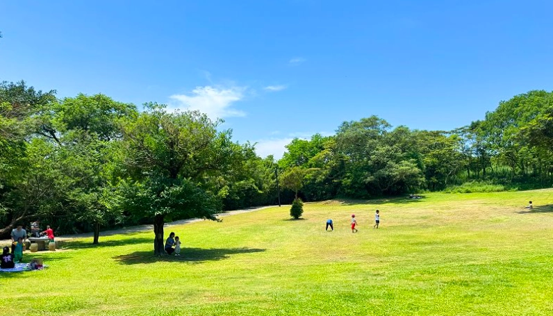桃園戶外景點親子推薦：三大主題公園與自然步道全攻略