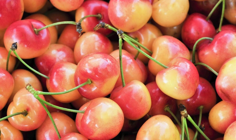 白櫻桃營養價值全解析：健康益處、挑選技巧與食用指南