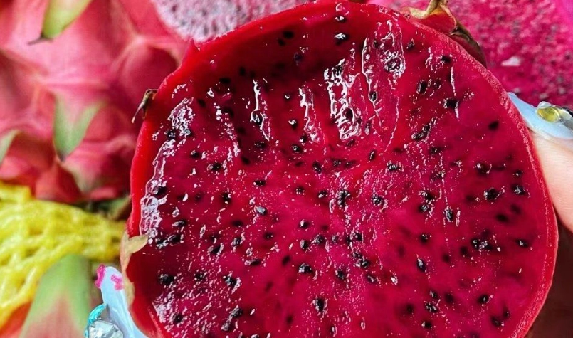 火龍果 發霉 能吃嗎