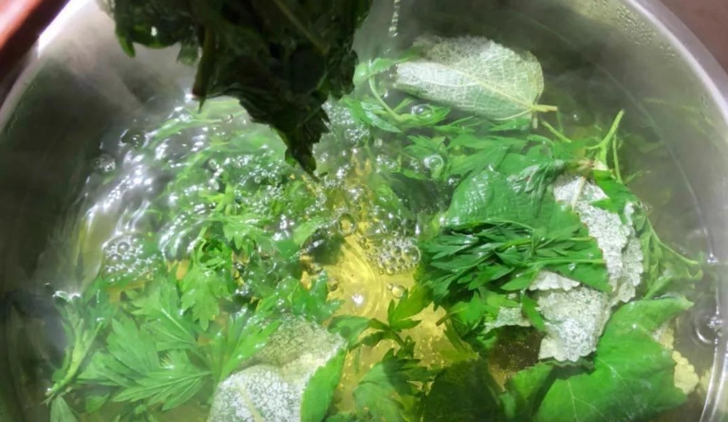 艾葉洗頭全攻略：天然改善頭皮問題的完整指南