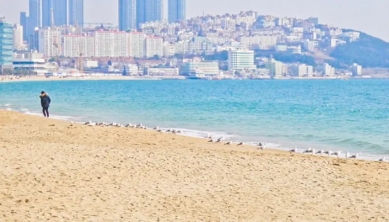 釜山東區自由行