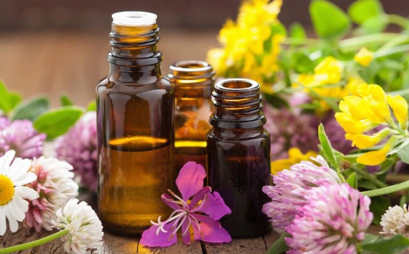 精油種類全攻略：從新手入門到專家使用指南