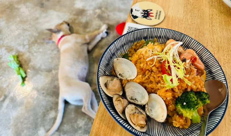 新竹寵物友善餐廳