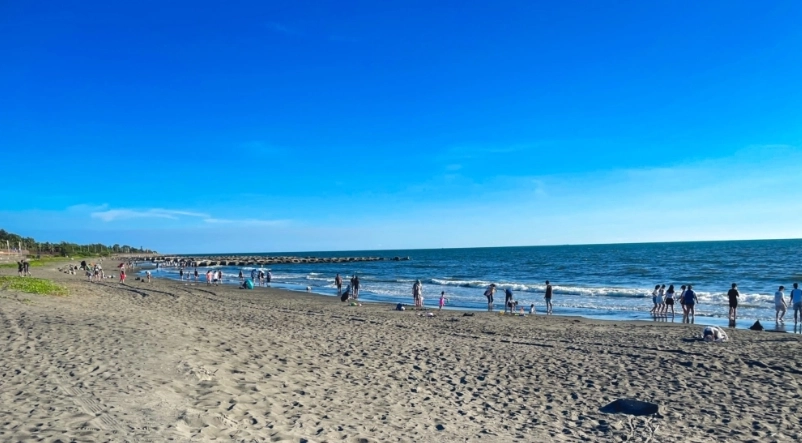 台南郊區景點秘境指南：避開人潮的私房路線與交通全攻略