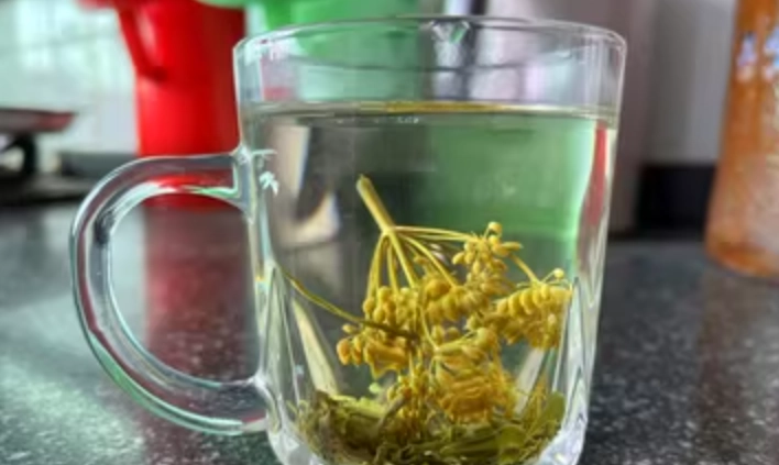 茴香茶怎麼泡