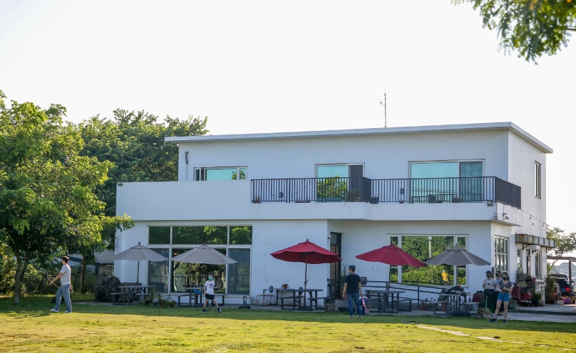 新豐寵物友善餐廳推薦與實用指南：帶寵物輕鬆用餐