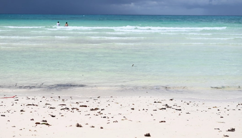 長灘島自由行攻略：完整行程規劃與必玩景點推薦