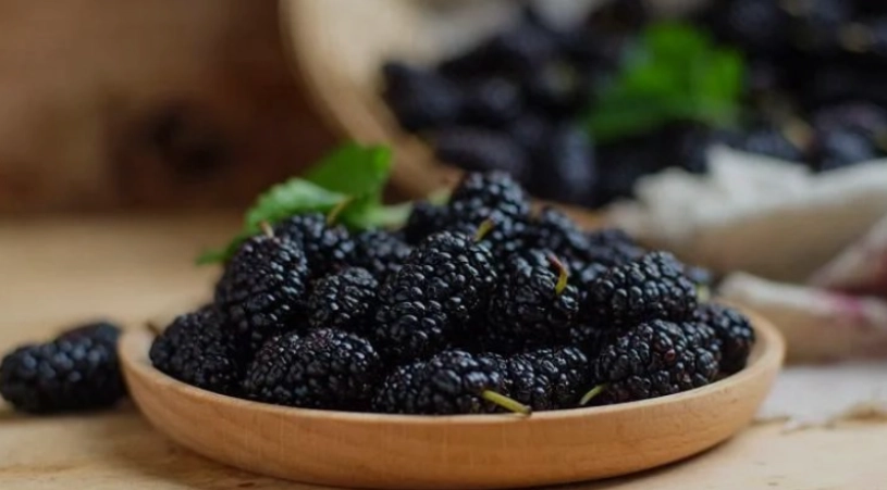 桑葚的完整指南：功效、作用與聰明食用方法一次看懂