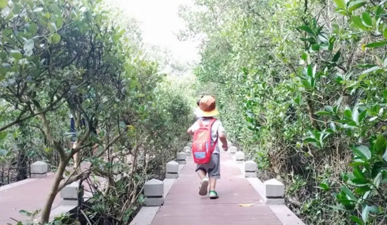 台南私房景點10路線任遊：避開人潮的府城深度探索指南