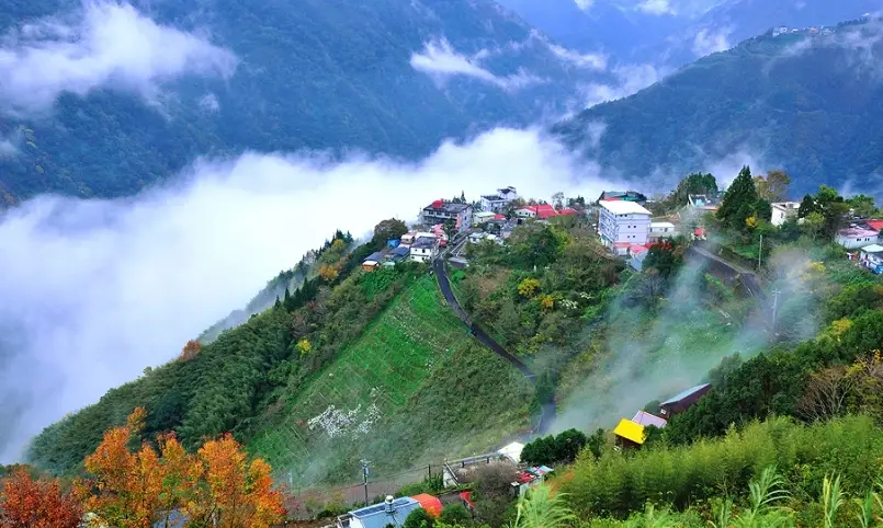 拉拉山國家森林遊樂區