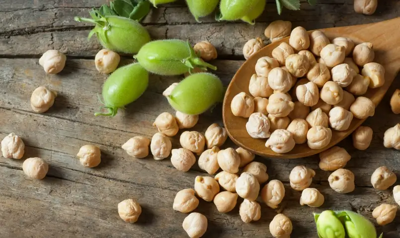 鷹嘴豆飲食禁忌大全：這些食物千萬別一起吃！