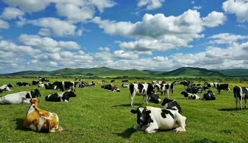 呼和浩特旅遊攻略