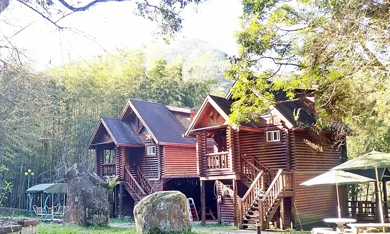 溪頭森林遊樂區小木屋住宿全攻略：房型比較、訂房技巧與夜間玩法