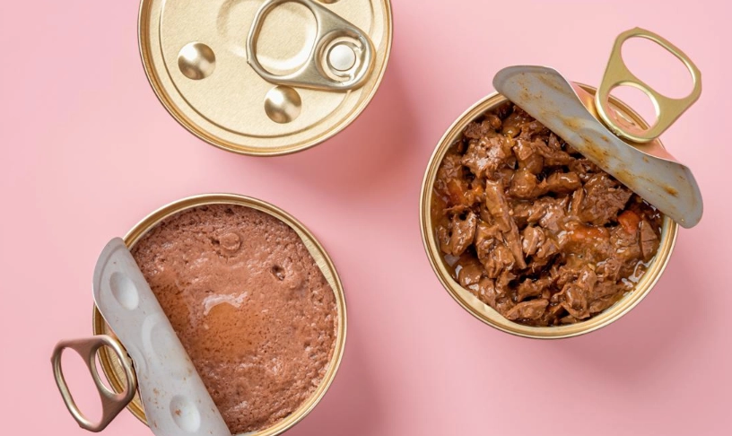 貓罐頭加飼料比例